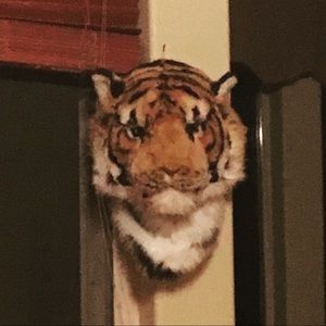 Meet your Posher, Breann